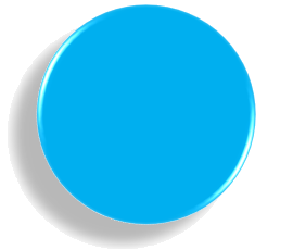 PORTAL SAT
